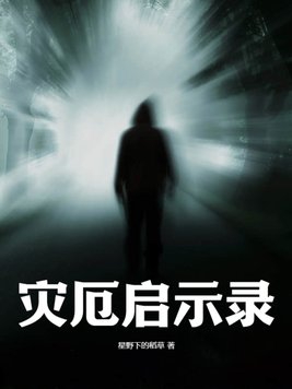 灾厄启示录和旷野之息的关系